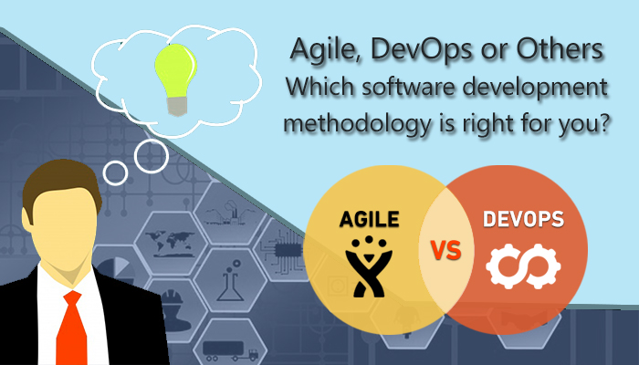software
